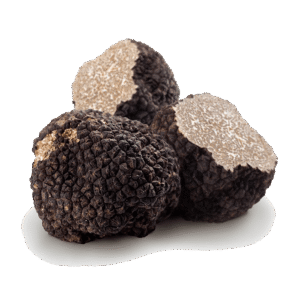 Black Truffle (Tuber Aestivum Vittadini) - Alain Stratta Tartufi
