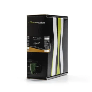 Lemon Dressing 2L - Sommariva